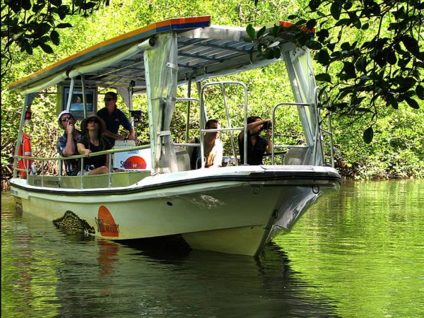 Rainforest Tours Cairns | Daintree & Cape Tribulation 1 Day Tour