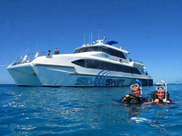 Silverswift on the Great Barrier Reef