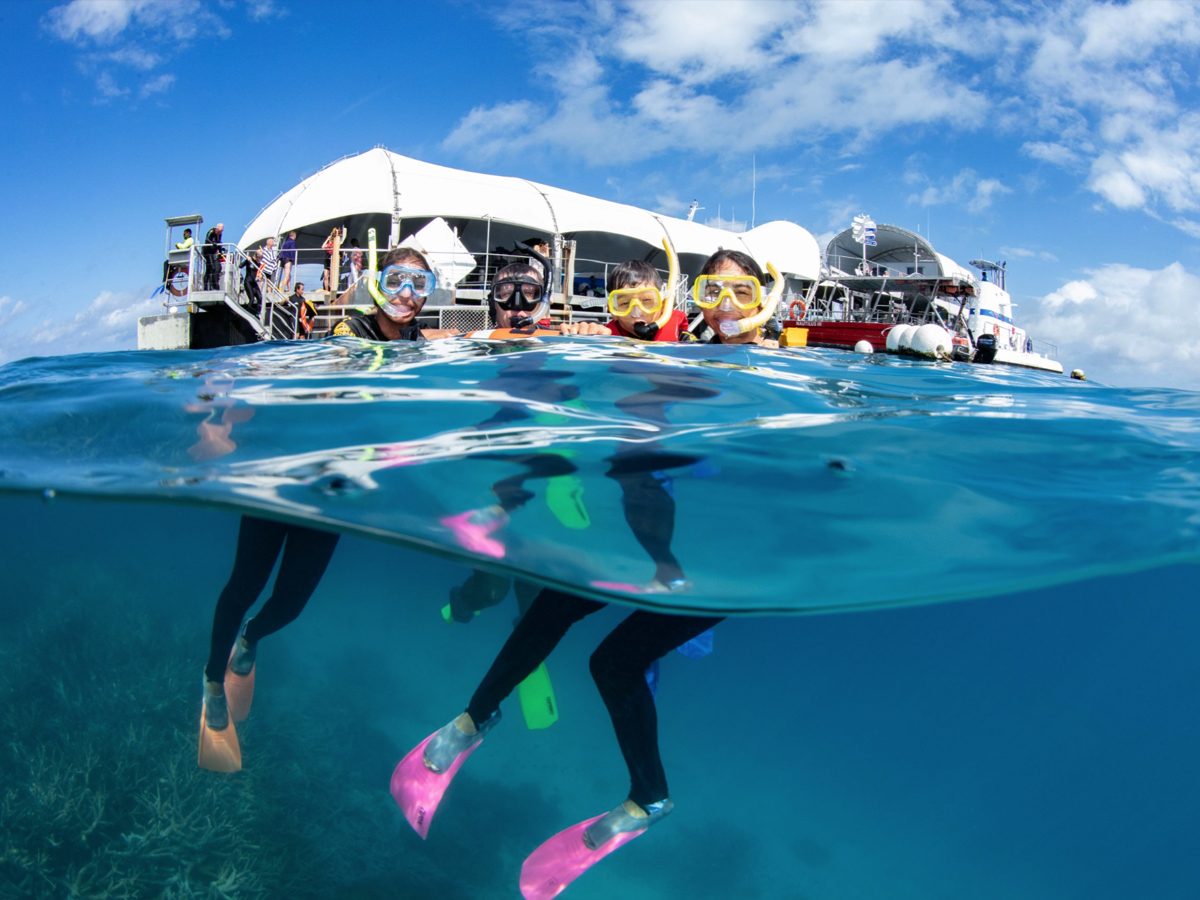 Reef Adventure Cruise-Fly | Cairns Discovery Tours