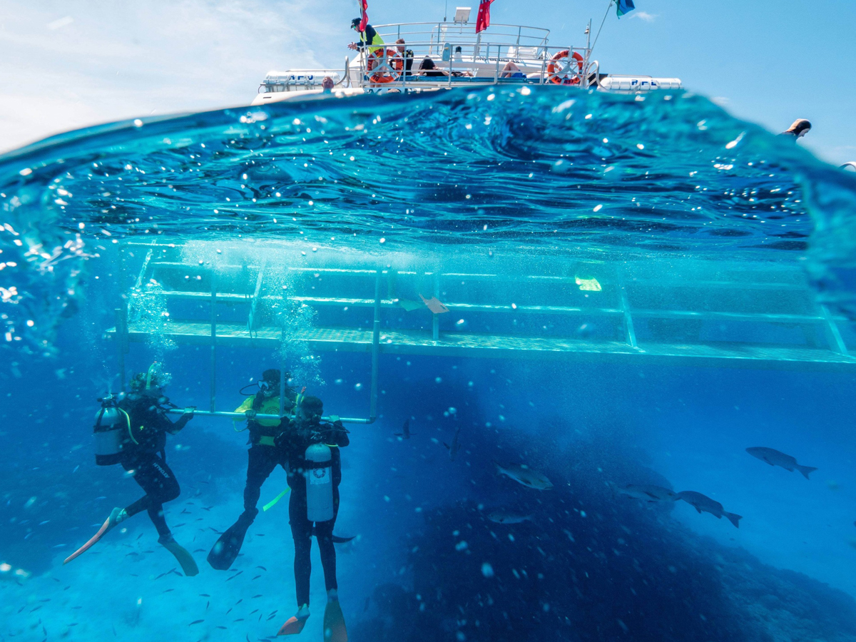 Great Barrier Reef Tour | Book with a Local of 30 years